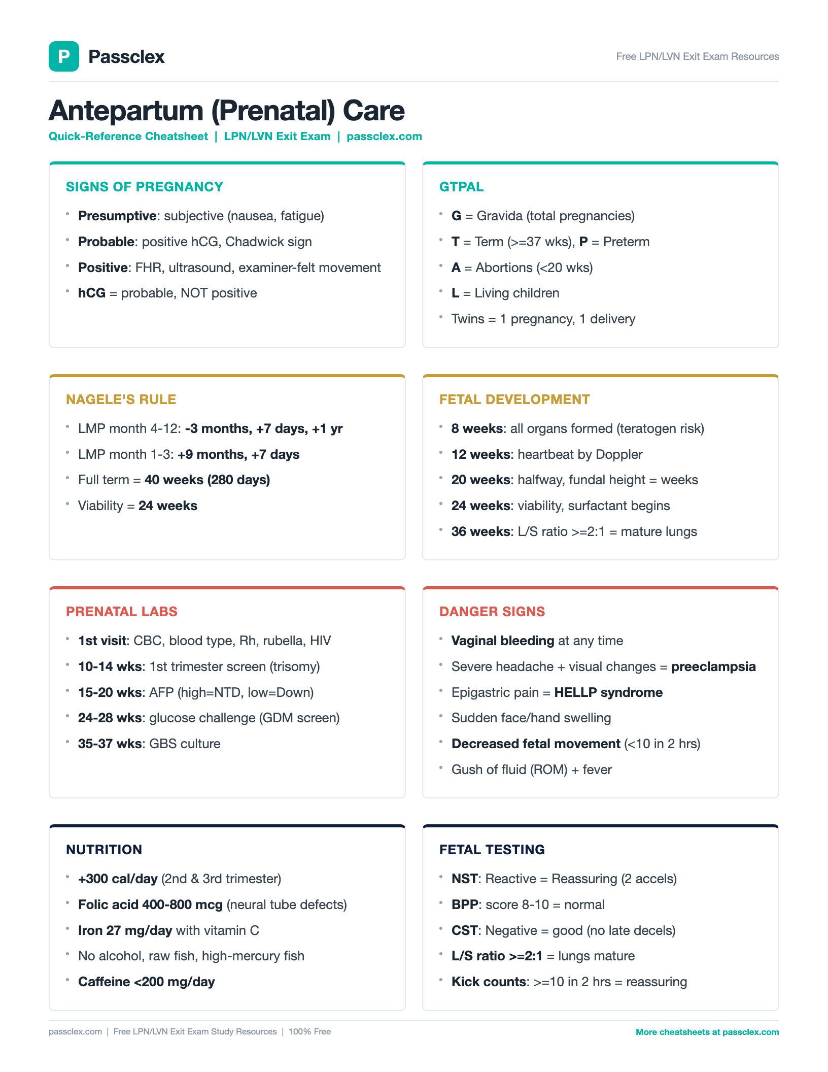 Antepartum Care cheatsheet preview