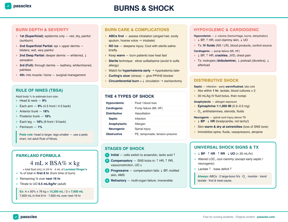 Burns & Shock cheatsheet preview