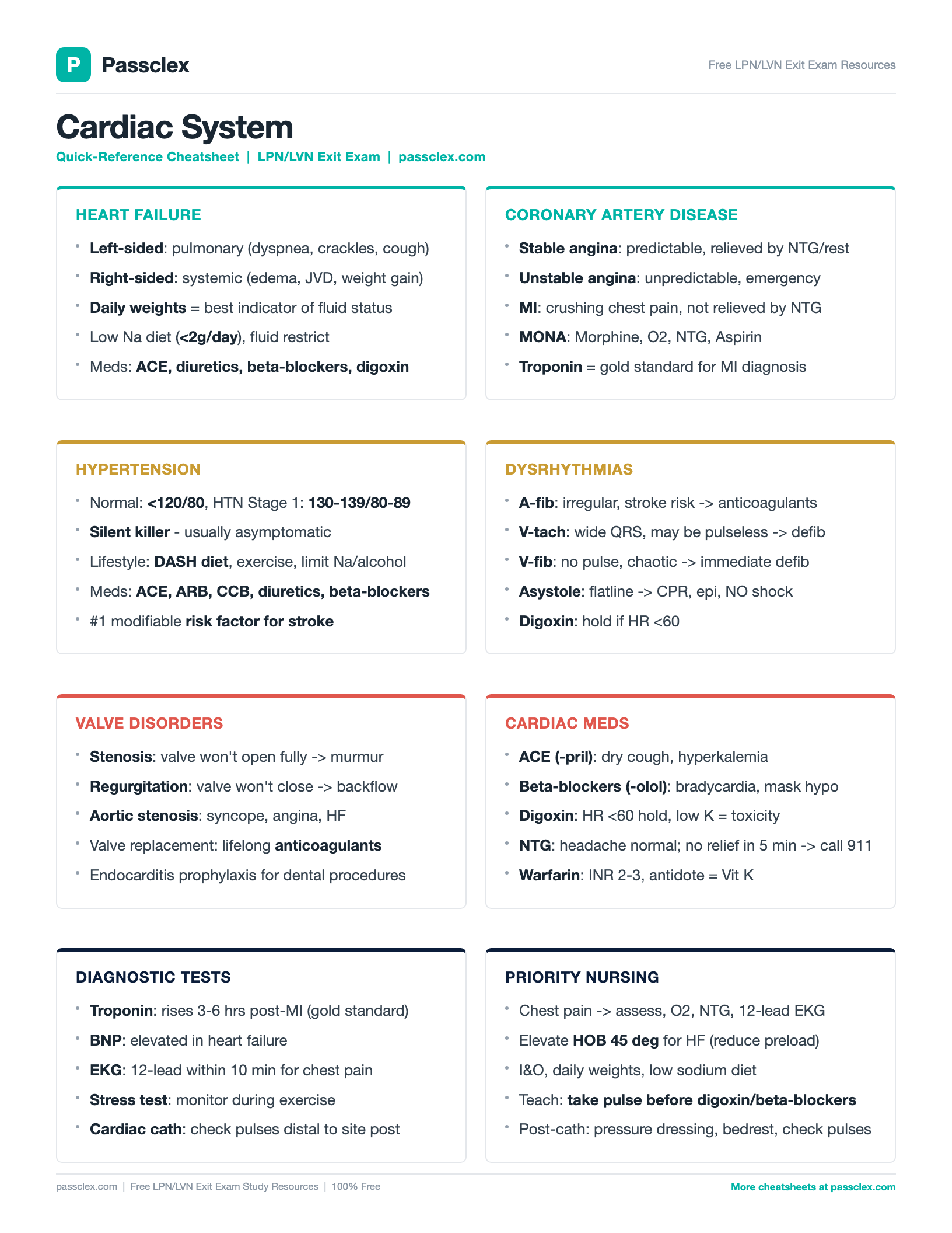Cardiac System cheatsheet preview