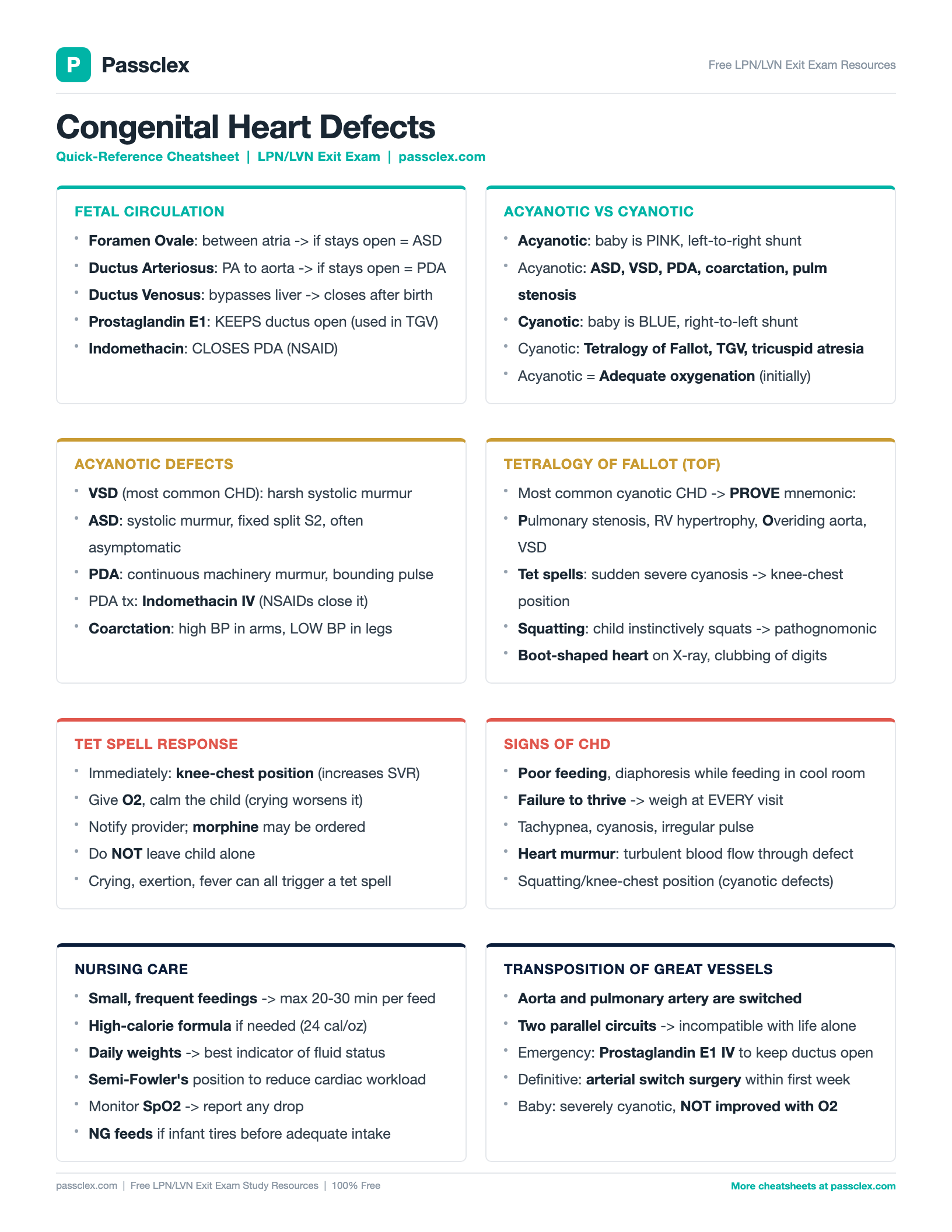 Congenital Heart Defects cheatsheet preview