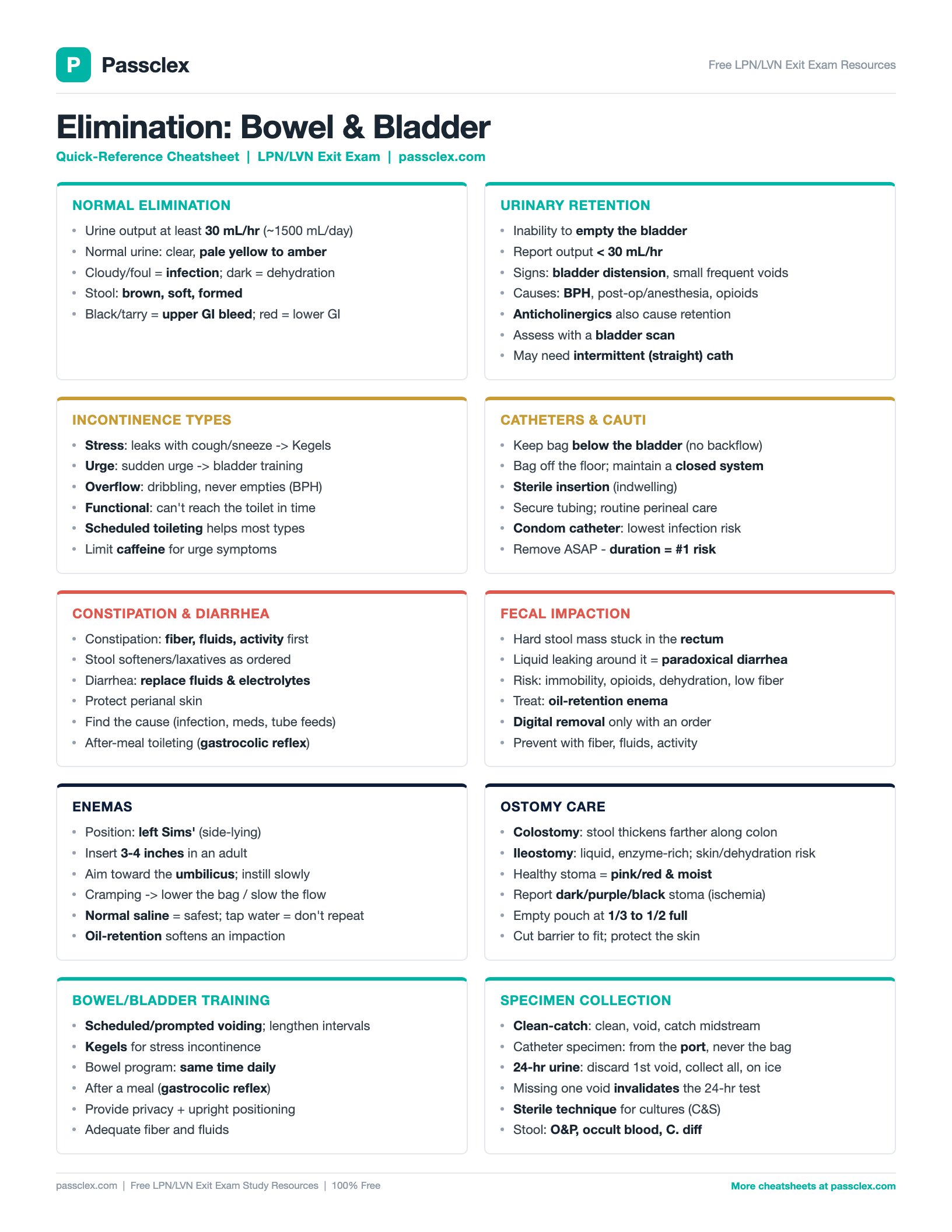 Elimination (Bowel & Bladder) cheatsheet preview