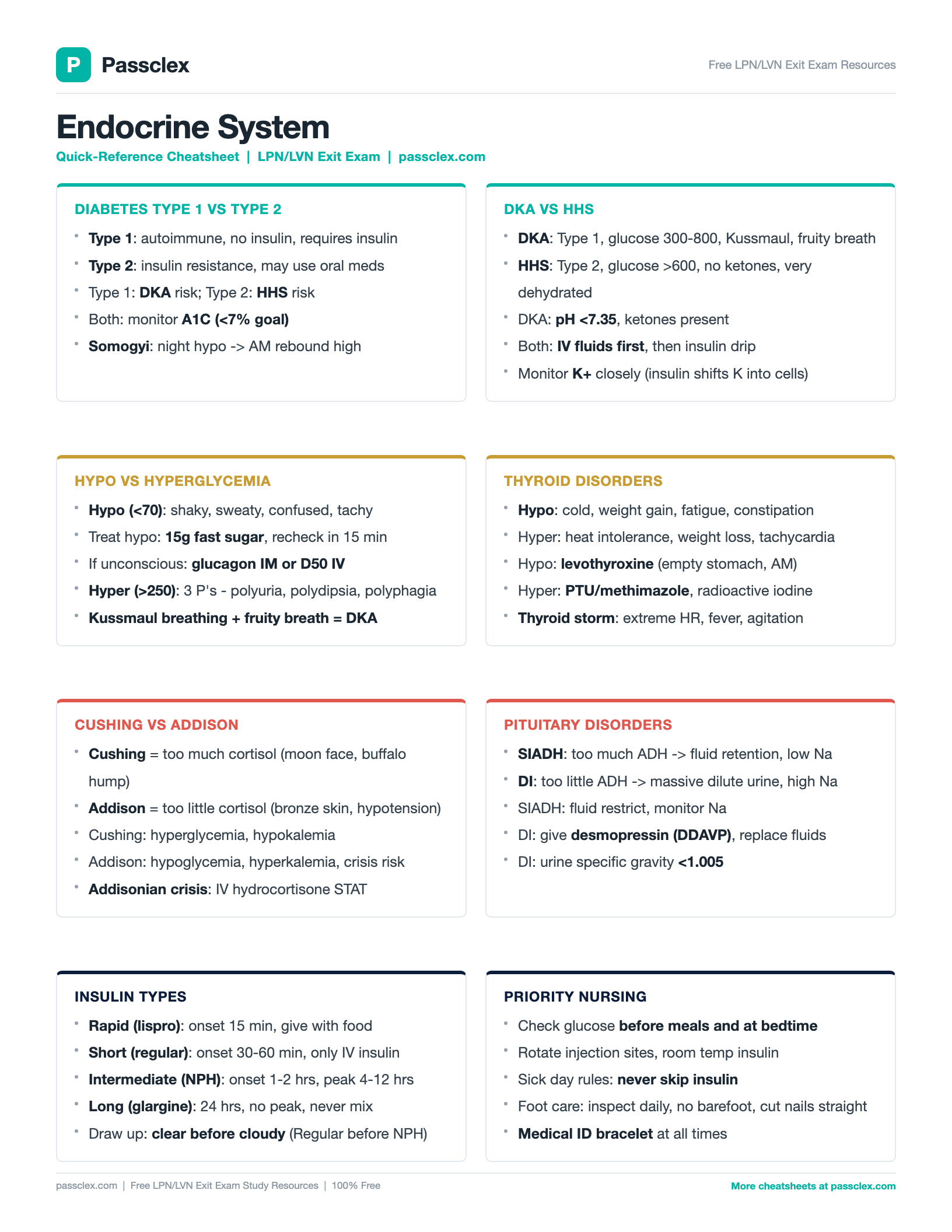 Endocrine System cheatsheet preview