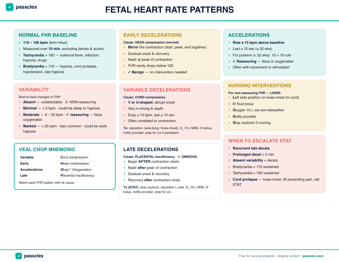 Fetal Heart Rate Patterns cheatsheet preview
