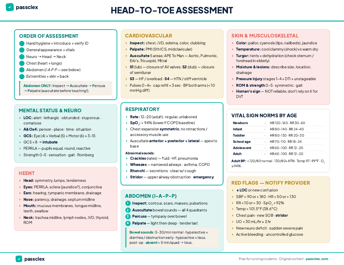 Head-to-Toe Assessment cheatsheet preview