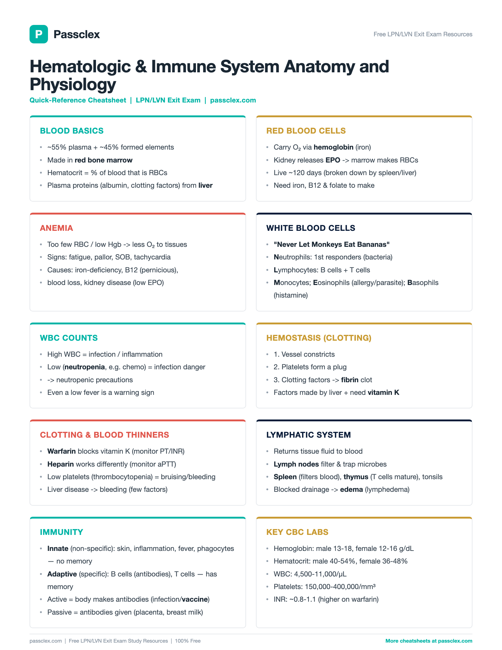 Hematologic & Immune System A&P cheatsheet preview