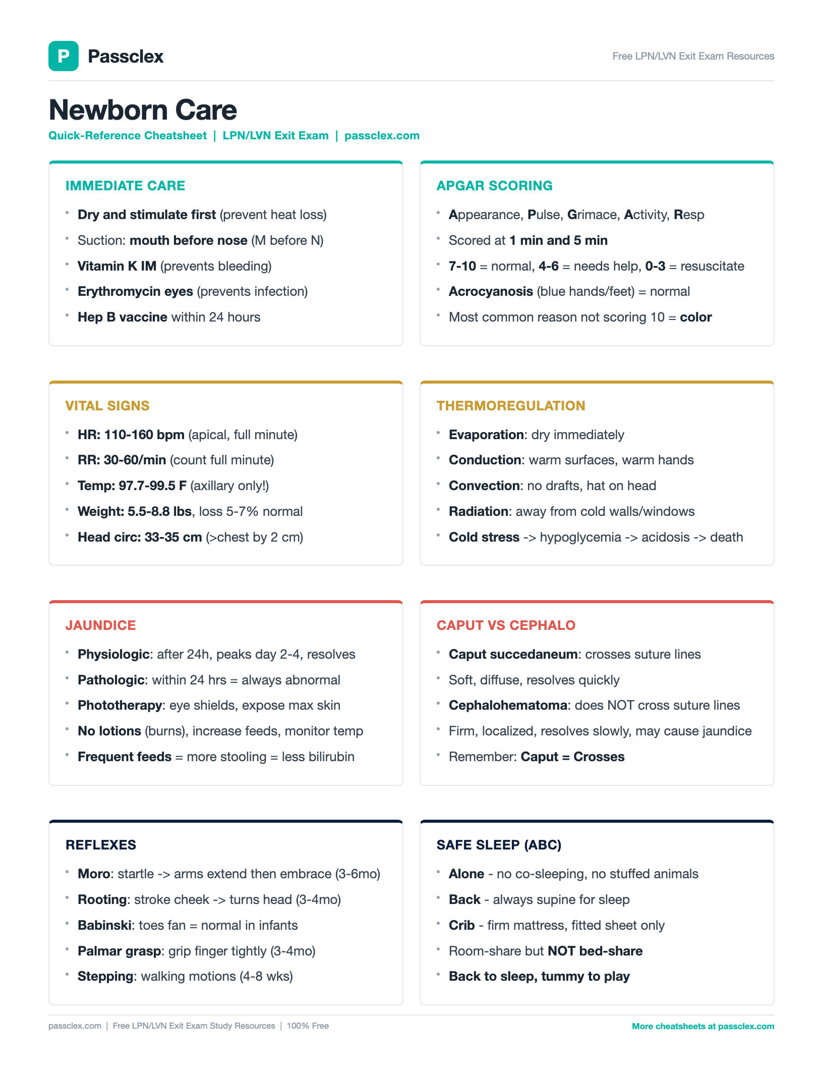 Newborn Care cheatsheet preview