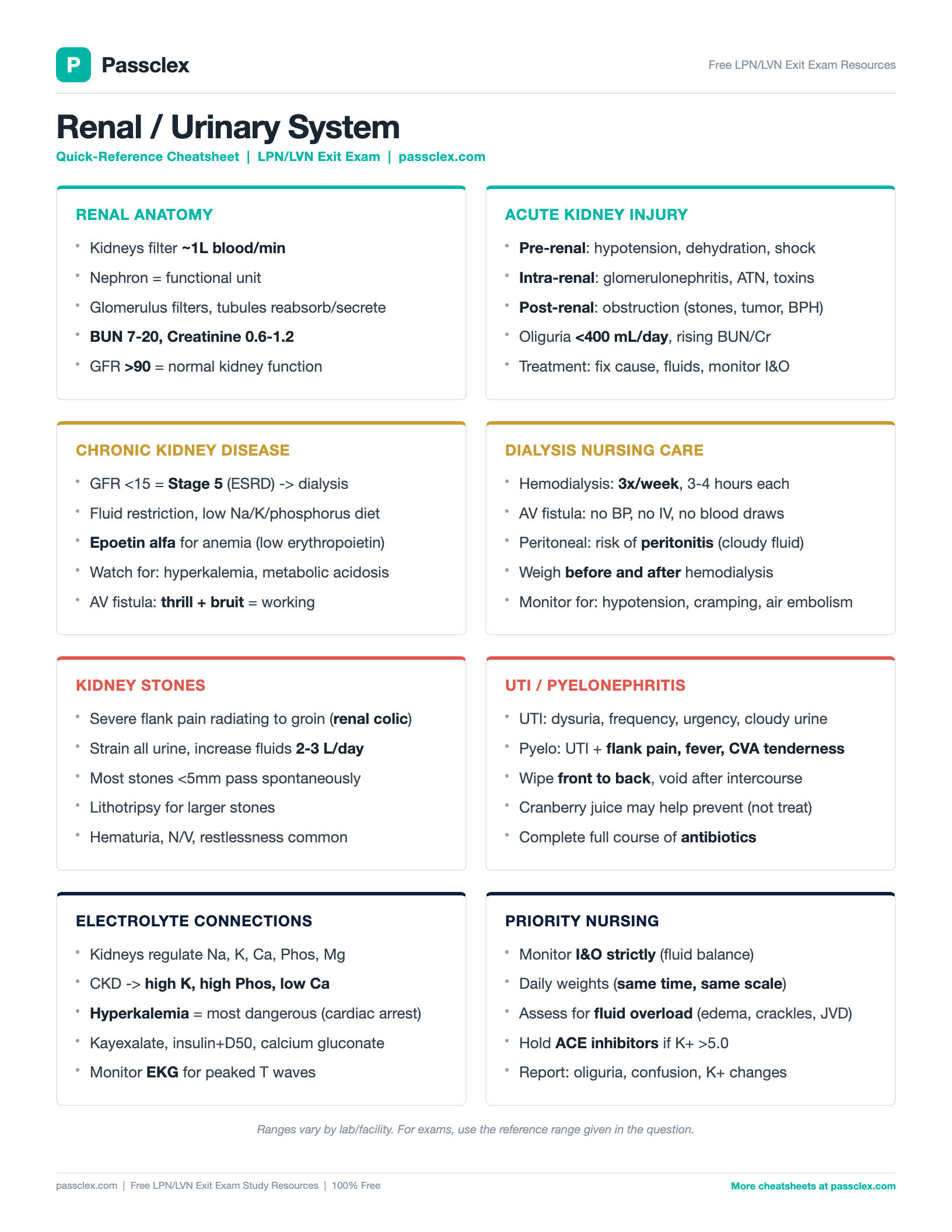 Renal System cheatsheet preview