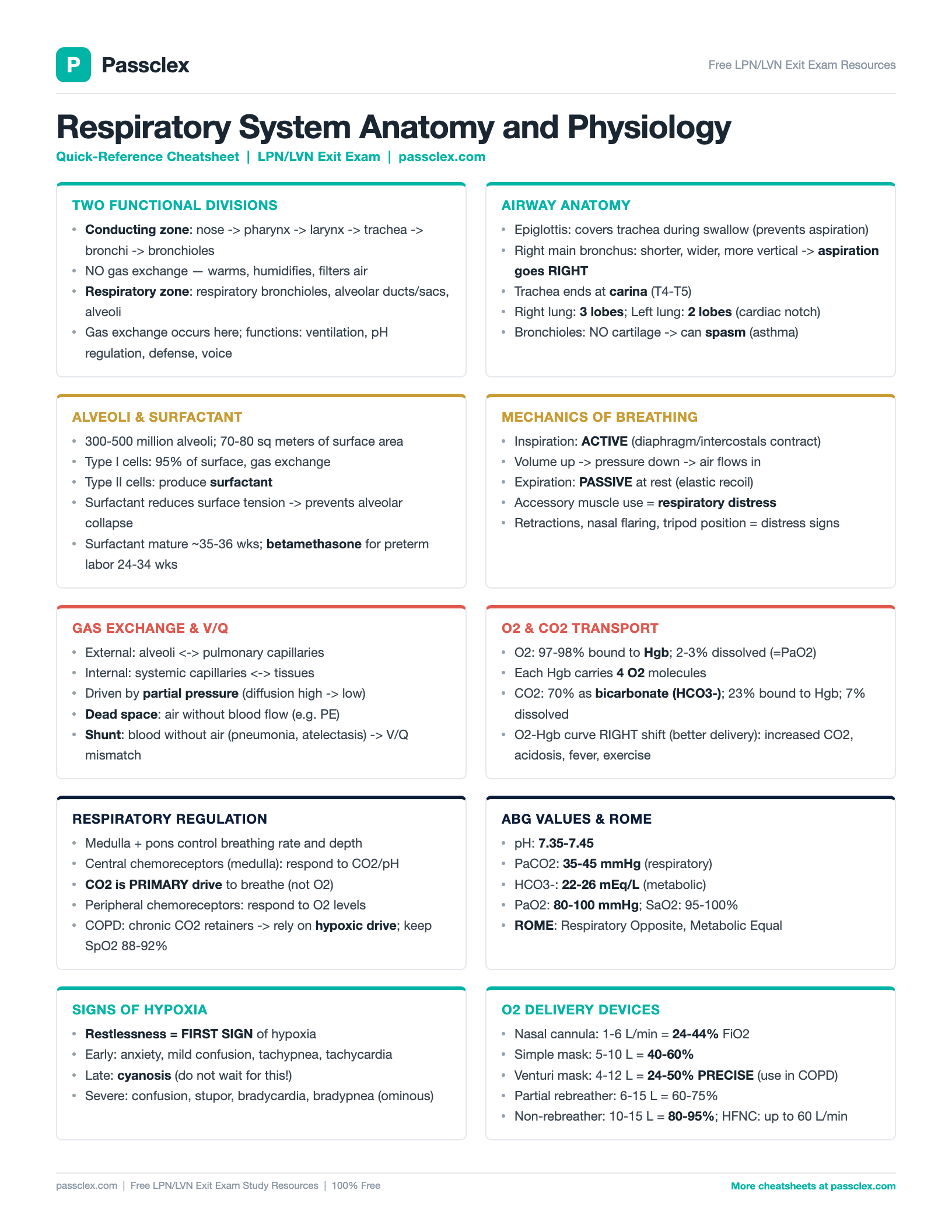 Respiratory System A&P cheatsheet preview