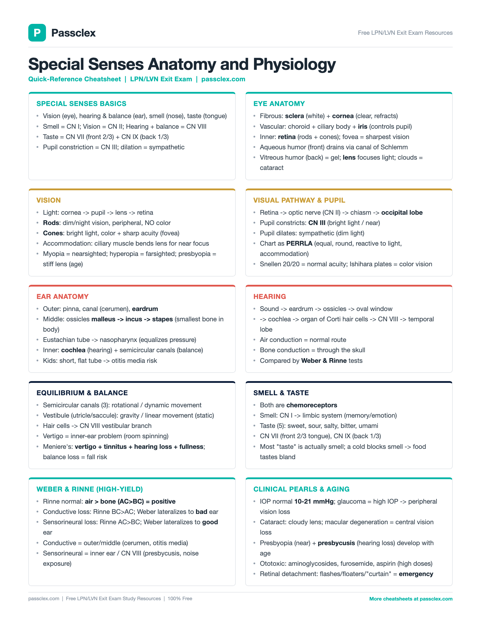 Special Senses A&P cheatsheet preview